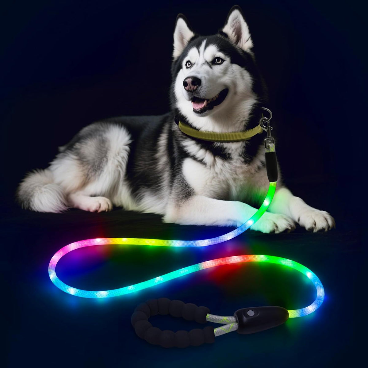 LED Light Up Dog Leash, USB Rechargeable (6FT,Pink)