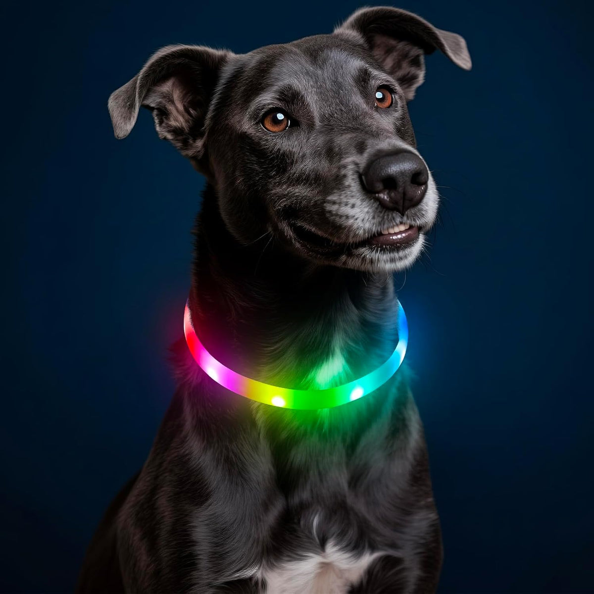 Light Up Dog Collars, USB Rechargeable LED Dog Collar, TPU Cuttable Dog Glow Collar, High Visibility Puppy Collar Safety Dog Lights for Night Walking(Green)