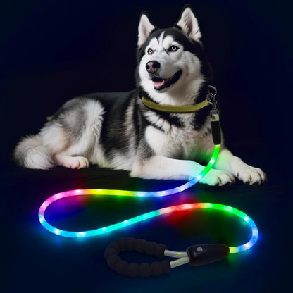 LED Light Up Dog Leash, USB Rechargeable (6FT,Pink)
