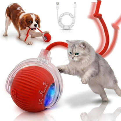 Interactive Cat Toy Automatic Moving Ball, Indoor Cats, Rechargeable, Gray | USB-C Charging, No Disposable Batteries. Quiet Silicone Shell with 3 Speed Modes and Auto-Sleep until a Paw Taps It Awake
