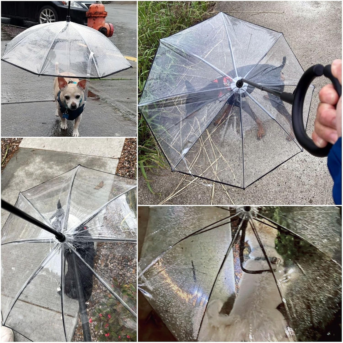 Dog Umbrella for Small Dogs, Clear Doggie Walking Umbrella with Adjustable Leash, Self-Assembly Puppy Rain Snow Umbrella, Waterproof