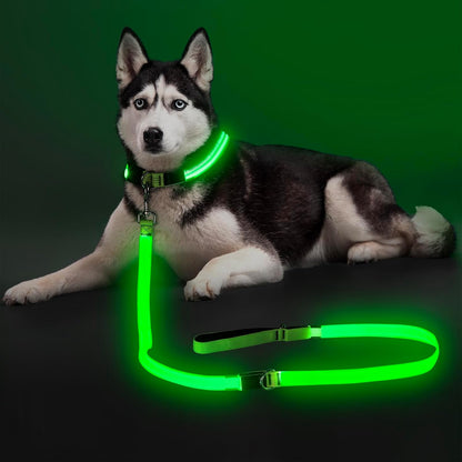 LED Light Up Dog Leash, USB Rechargeable (6FT,Pink)