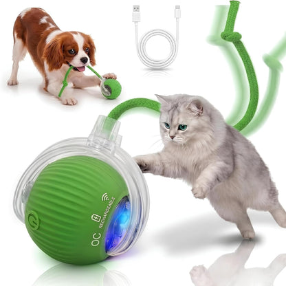 Interactive Cat Toy Automatic Moving Ball, Indoor Cats, Rechargeable, Gray | USB-C Charging, No Disposable Batteries. Quiet Silicone Shell with 3 Speed Modes and Auto-Sleep until a Paw Taps It Awake