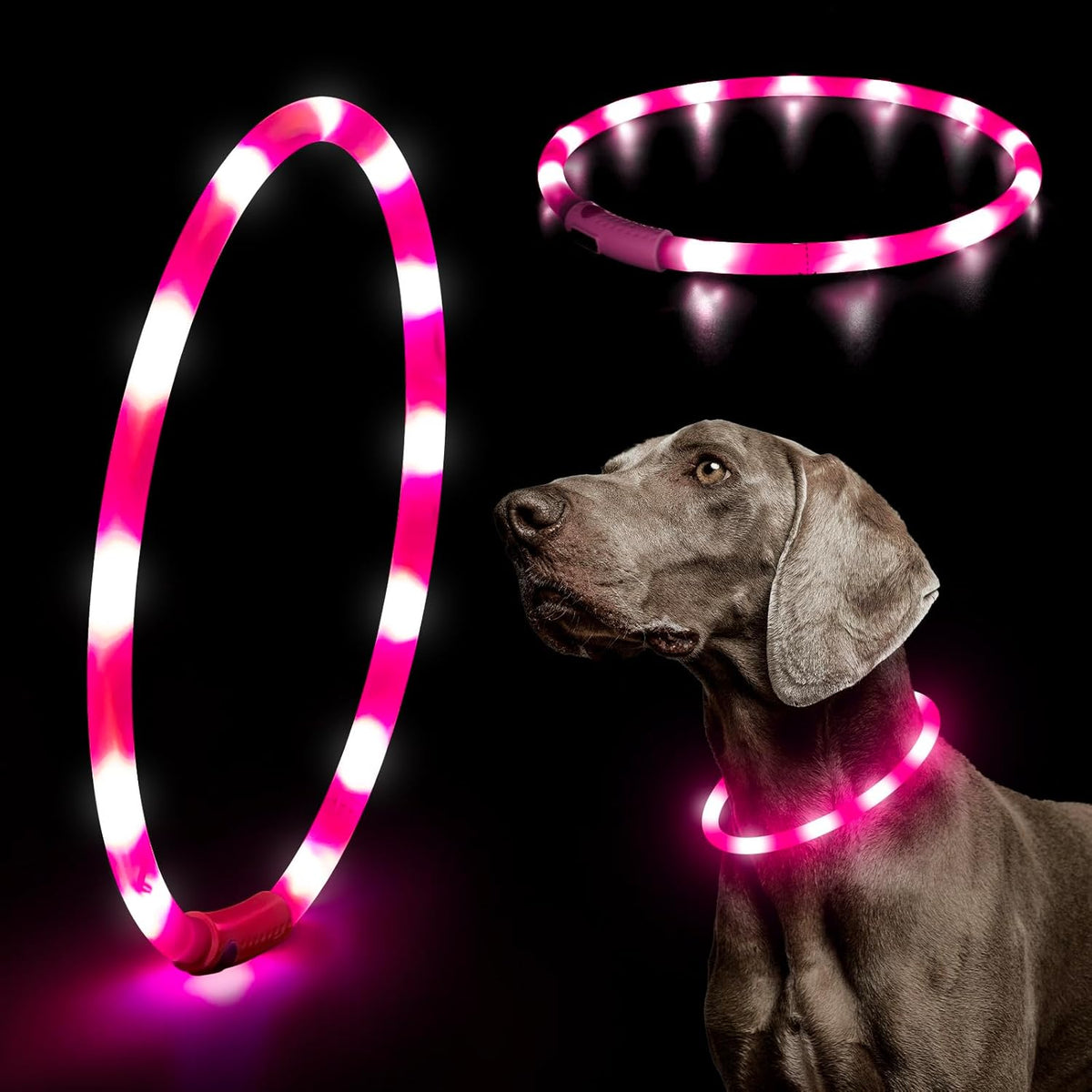 Light Up Dog Collars, USB Rechargeable LED Dog Collar, TPU Cuttable Dog Glow Collar, High Visibility Puppy Collar Safety Dog Lights for Night Walking(Green)