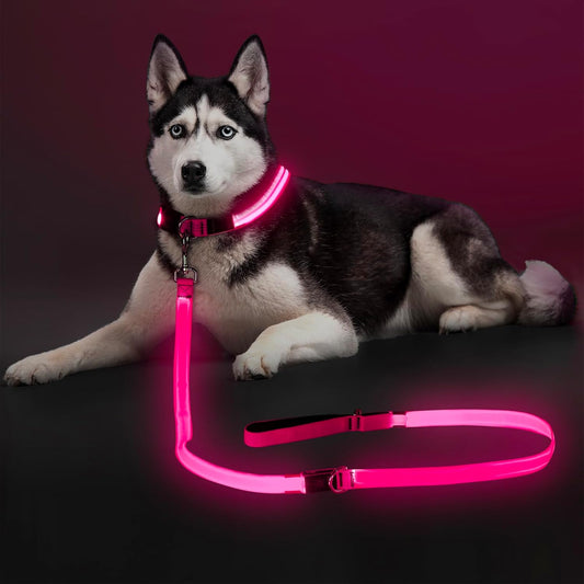 LED Light up Dog Leash, USB Rechargeable (6Ft,Pink) | Glow in Dark, Reflective, USB-C Rechargeable, Bright LED for Night Safety, Fits Medium to Large Dogs