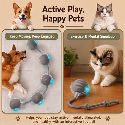 Interactive Cat Toy Automatic Moving Ball, Indoor Cats, Rechargeable, Gray | USB-C Charging, No Disposable Batteries. Quiet Silicone Shell with 3 Speed Modes and Auto-Sleep until a Paw Taps It Awake