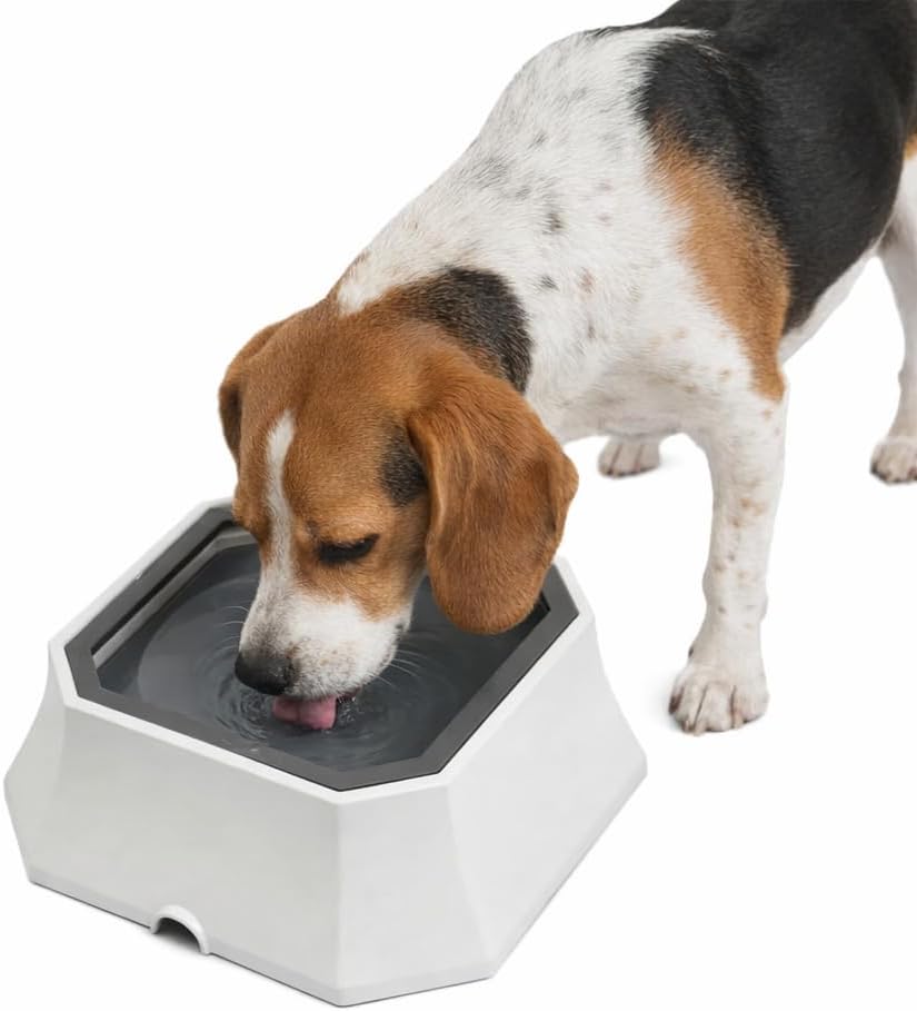 No-spill water bowl for dogs – anti-splash floating disk and non-slip base