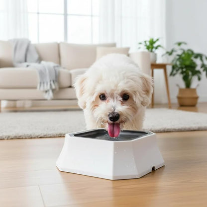 No-spill water bowl for dogs – anti-splash floating disk and non-slip base