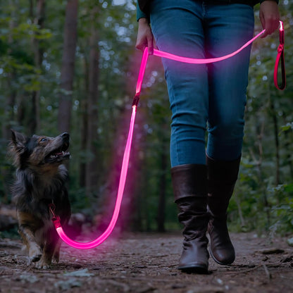 LED Light up Dog Leash, USB Rechargeable (6Ft,Pink) | Glow in Dark, Reflective, USB-C Rechargeable, Bright LED for Night Safety, Fits Medium to Large Dogs