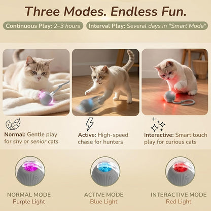 Interactive Cat Toy Automatic Moving Ball, Indoor Cats, Rechargeable, Gray | USB-C Charging, No Disposable Batteries. Quiet Silicone Shell with 3 Speed Modes and Auto-Sleep until a Paw Taps It Awake