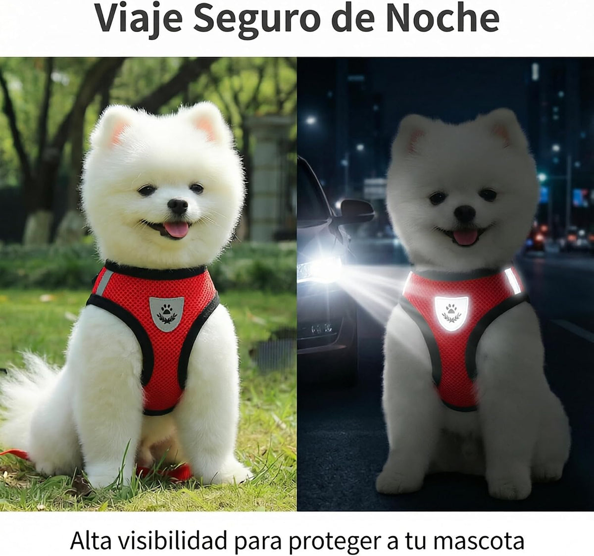 Breathable Reflective Harness for Small Dogs & Cats – Leash Included