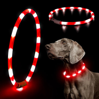 Light Up Dog Collars, USB Rechargeable LED Dog Collar, TPU Cuttable Dog Glow Collar, High Visibility Puppy Collar Safety Dog Lights for Night Walking(Green)