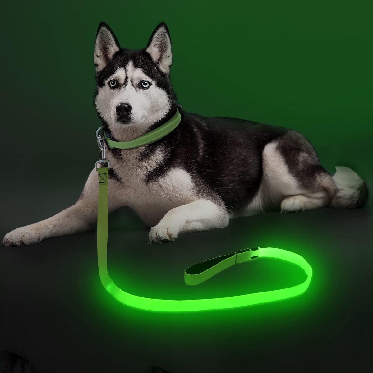 LED Light Up Dog Leash, USB Rechargeable (6FT,Pink)