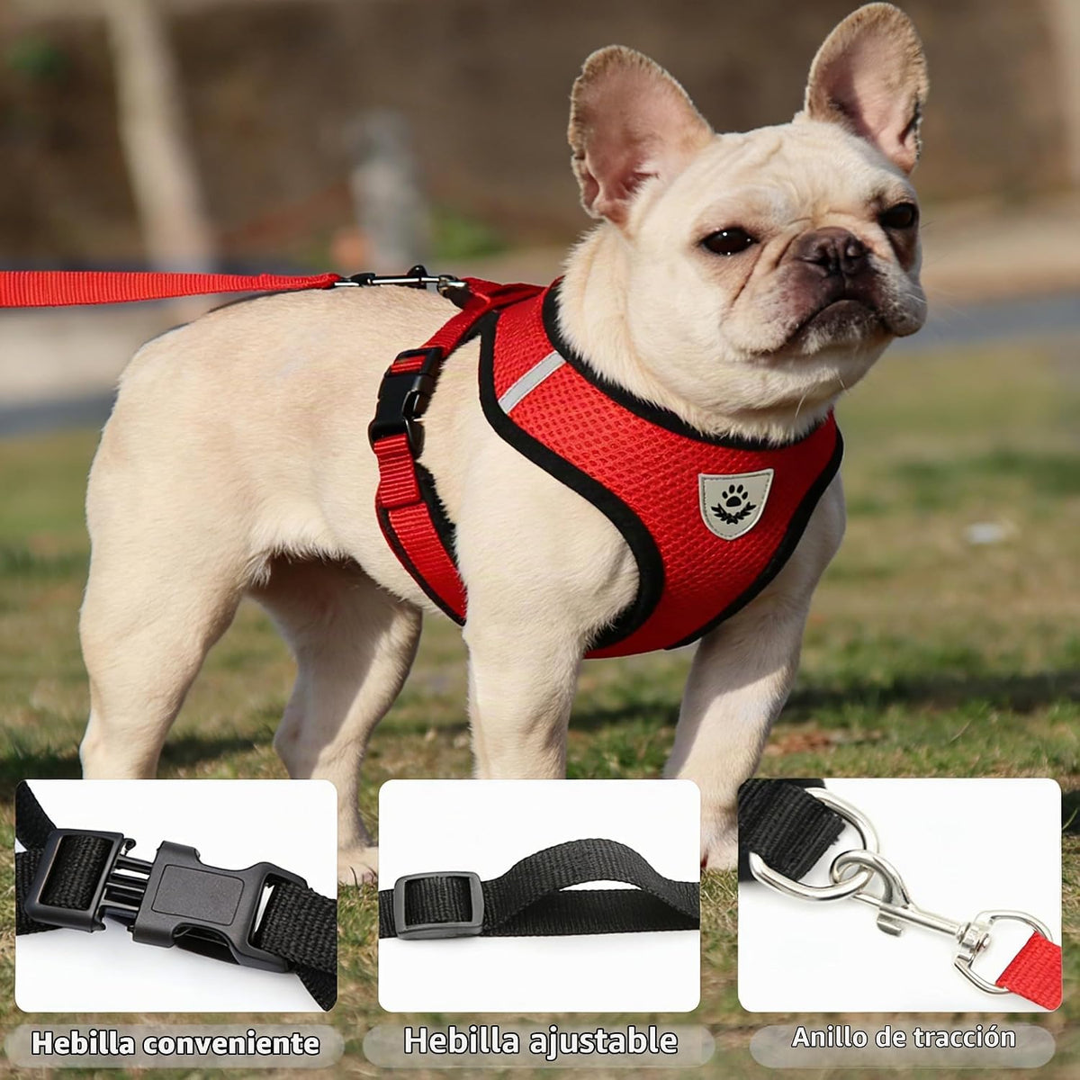 Breathable Reflective Harness for Small Dogs & Cats – Leash Included