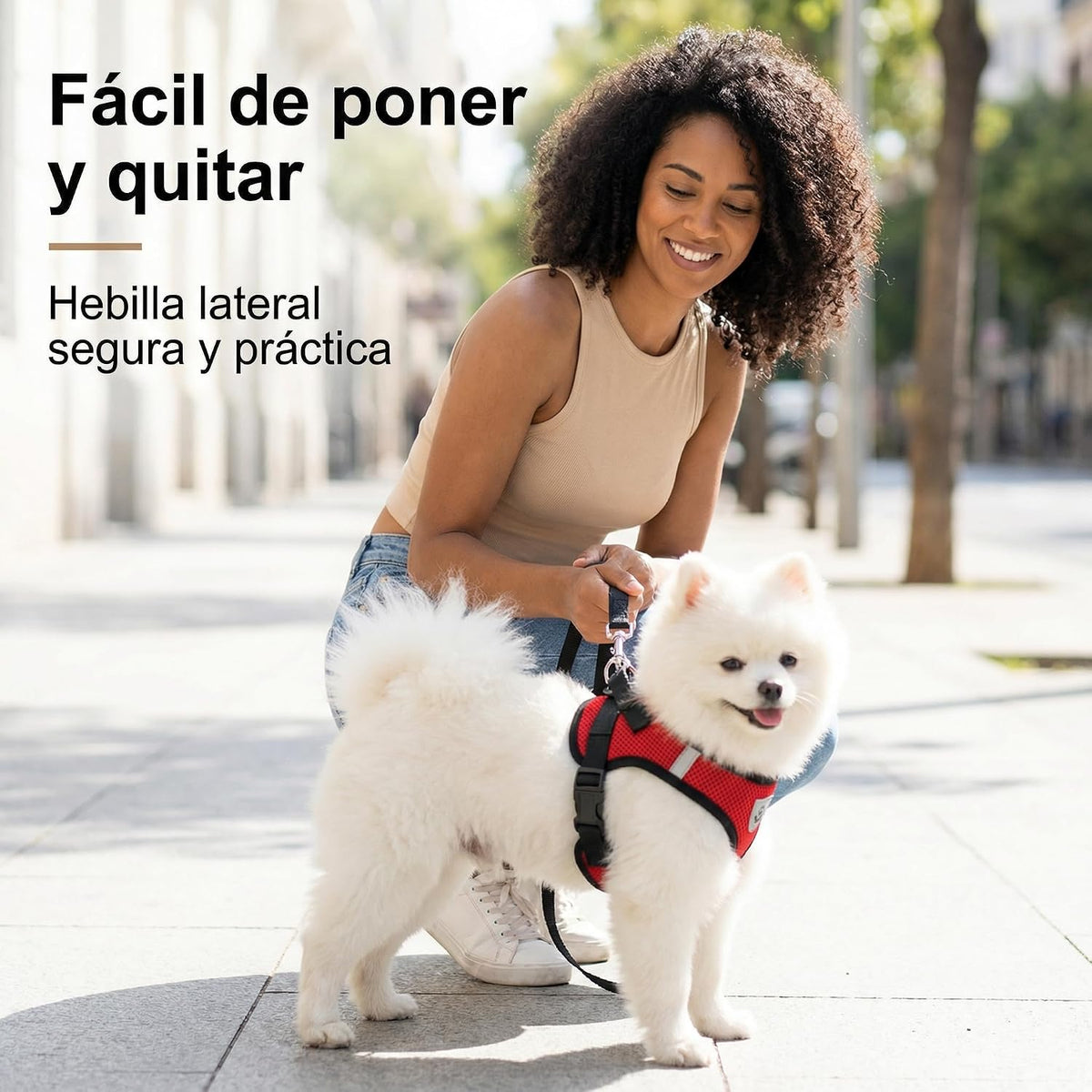 Breathable Reflective Harness for Small Dogs & Cats – Leash Included