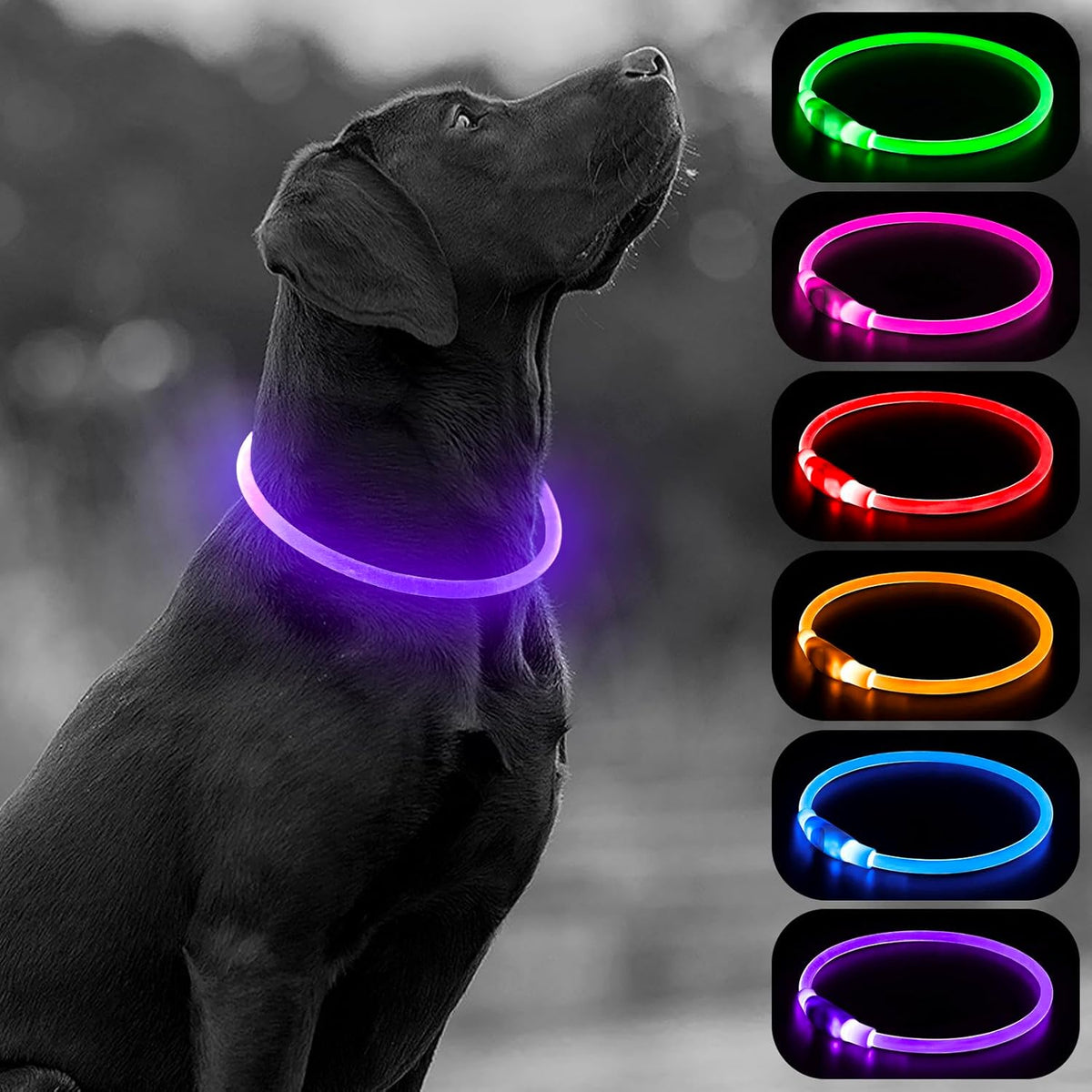 Light Up Dog Collars, USB Rechargeable LED Dog Collar, TPU Cuttable Dog Glow Collar, High Visibility Puppy Collar Safety Dog Lights for Night Walking(Green)