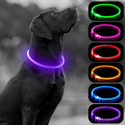 Light Up Dog Collars, USB Rechargeable LED Dog Collar, TPU Cuttable Dog Glow Collar, High Visibility Puppy Collar Safety Dog Lights for Night Walking(Green)