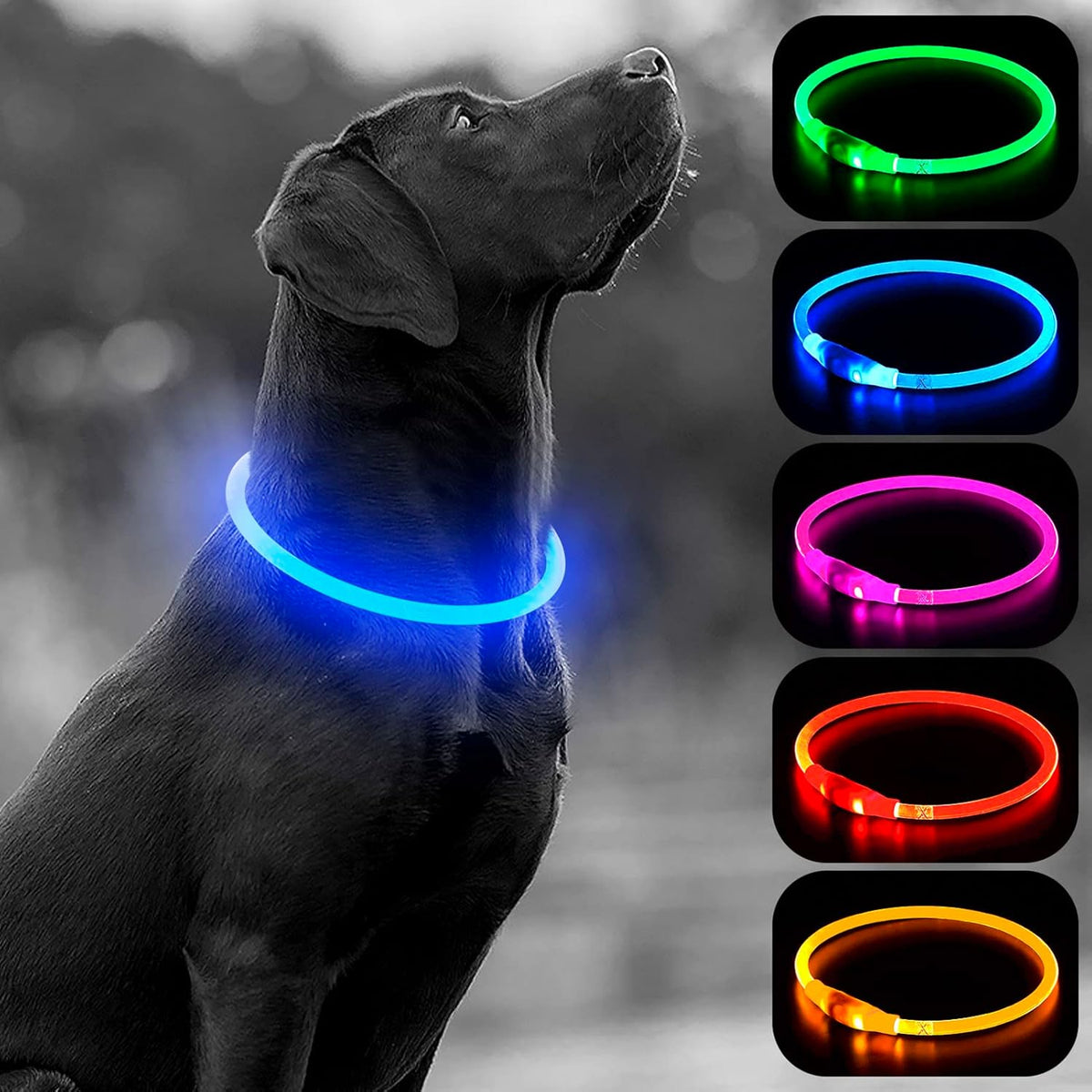 Light Up Dog Collars, USB Rechargeable LED Dog Collar, TPU Cuttable Dog Glow Collar, High Visibility Puppy Collar Safety Dog Lights for Night Walking(Green)
