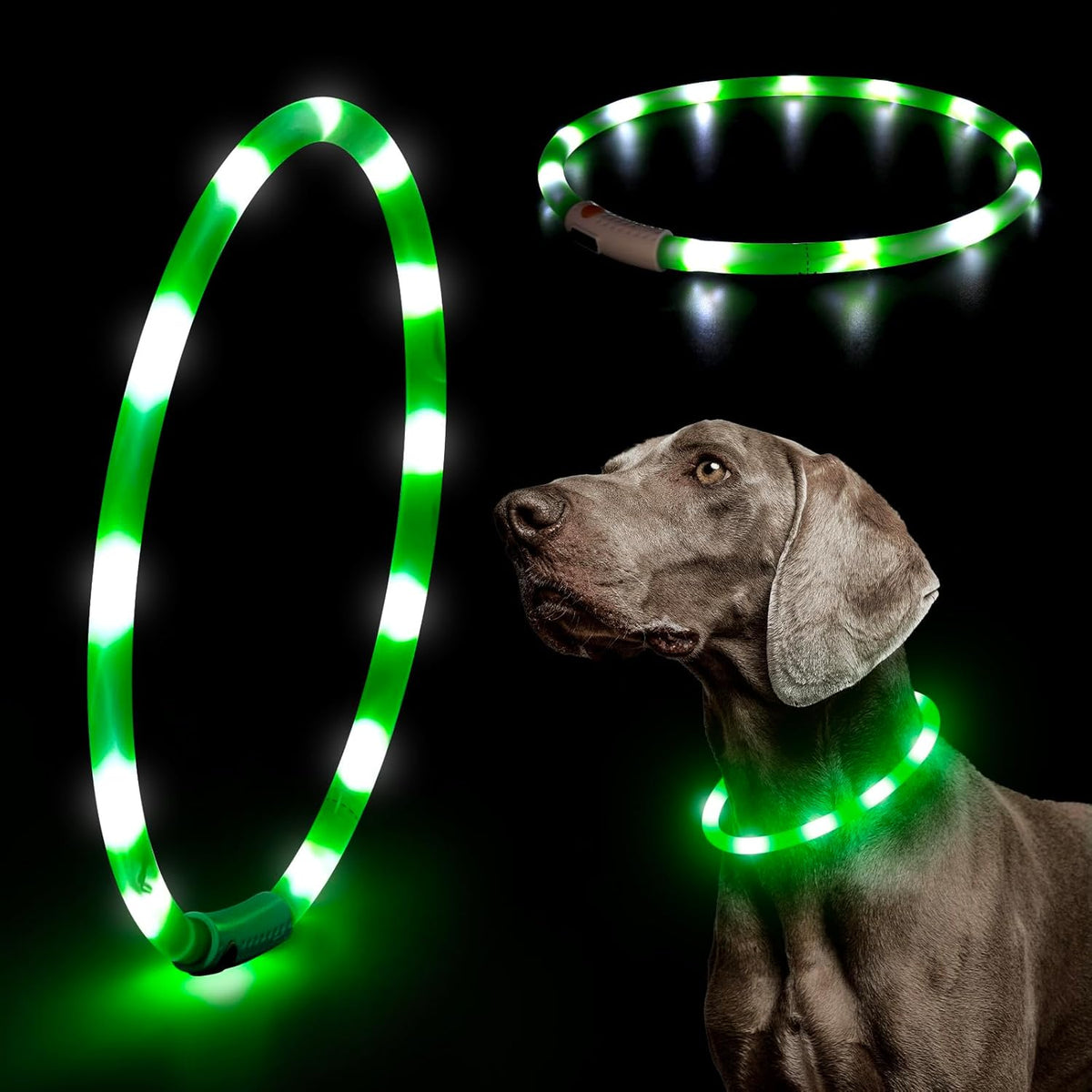 Light Up Dog Collars, USB Rechargeable LED Dog Collar, TPU Cuttable Dog Glow Collar, High Visibility Puppy Collar Safety Dog Lights for Night Walking(Green)