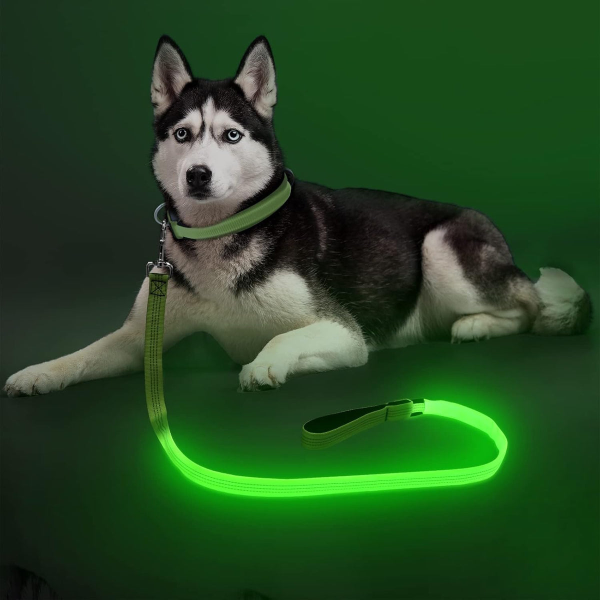 LED Light Up Dog Leash, USB Rechargeable (6FT,Pink)