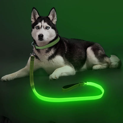 LED Light Up Dog Leash, USB Rechargeable (6FT,Pink)