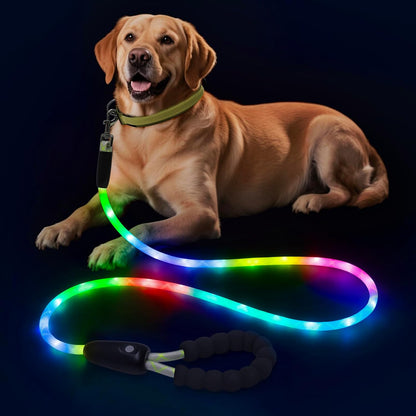LED Light Up Dog Leash, USB Rechargeable (6FT,Pink)