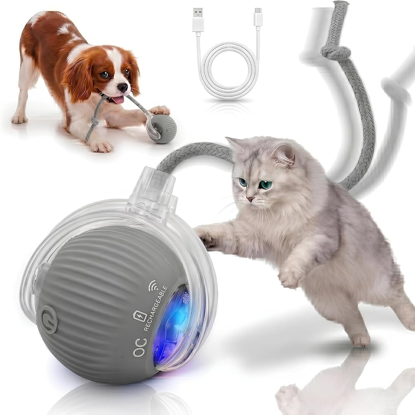 Interactive Cat Toy Automatic Moving Ball, Indoor Cats, Rechargeable, Gray | USB-C Charging, No Disposable Batteries. Quiet Silicone Shell with 3 Speed Modes and Auto-Sleep until a Paw Taps It Awake