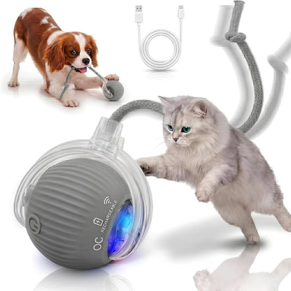 Interactive Cat Toy Automatic Moving Ball, Indoor Cats, Rechargeable, Gray | USB-C Charging, No Disposable Batteries. Quiet Silicone Shell with 3 Speed Modes and Auto-Sleep until a Paw Taps It Awake