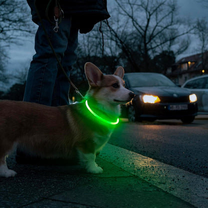 Light Up Dog Collars, USB Rechargeable LED Dog Collar, TPU Cuttable Dog Glow Collar, High Visibility Puppy Collar Safety Dog Lights for Night Walking(Green)
