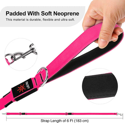 LED Light up Dog Leash, USB Rechargeable (6Ft,Pink) | Glow in Dark, Reflective, USB-C Rechargeable, Bright LED for Night Safety, Fits Medium to Large Dogs