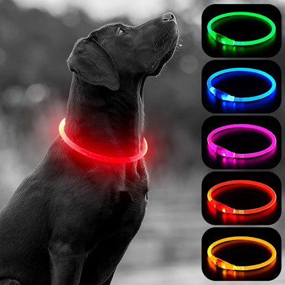 Light Up Dog Collars, USB Rechargeable LED Dog Collar, TPU Cuttable Dog Glow Collar, High Visibility Puppy Collar Safety Dog Lights for Night Walking(Green)