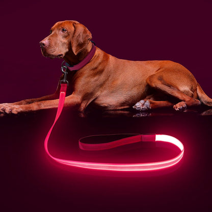 LED Light Up Dog Leash, USB Rechargeable (6FT,Pink)