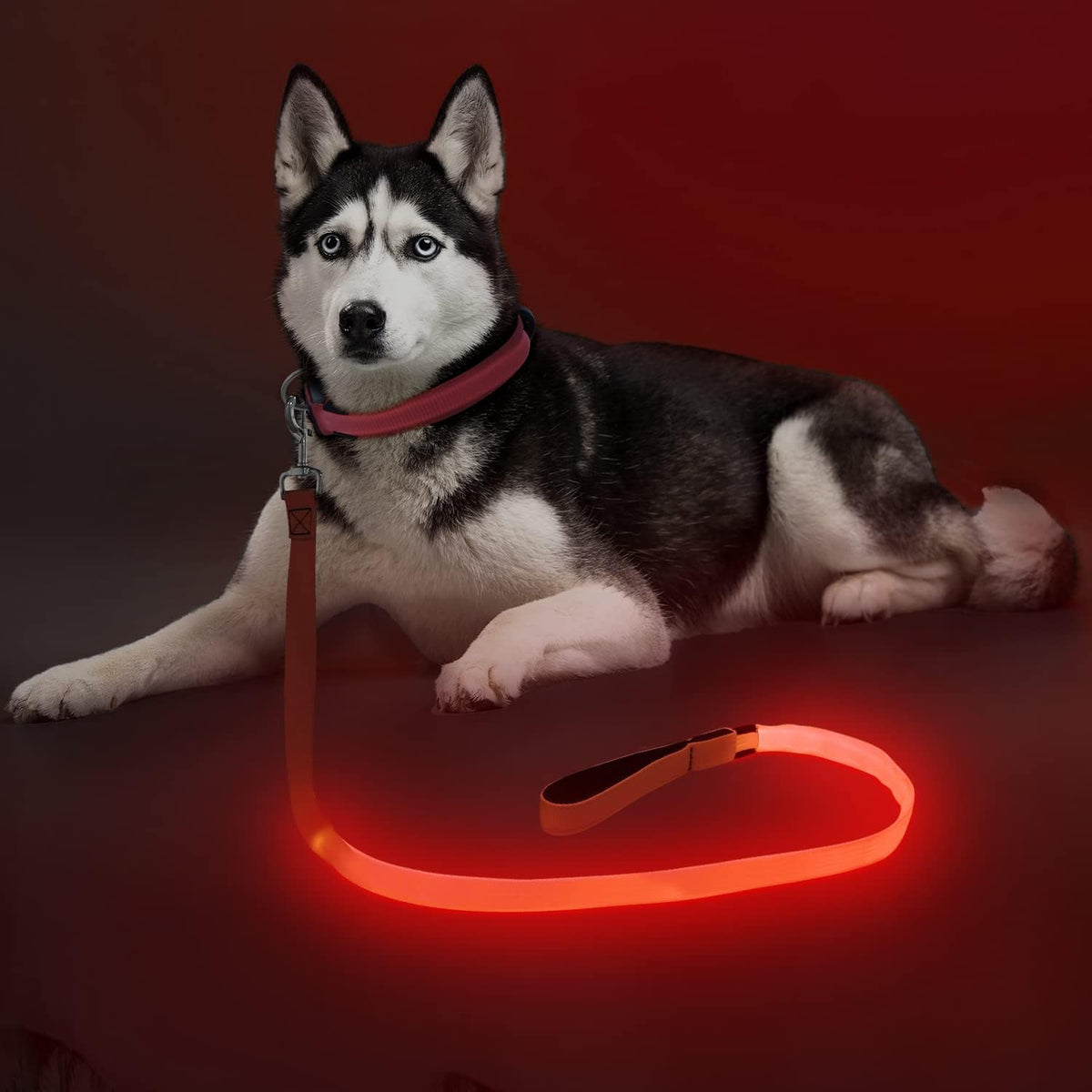 LED Light Up Dog Leash, USB Rechargeable (6FT,Pink)