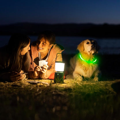 Light Up Dog Collars, USB Rechargeable LED Dog Collar, TPU Cuttable Dog Glow Collar, High Visibility Puppy Collar Safety Dog Lights for Night Walking(Green)