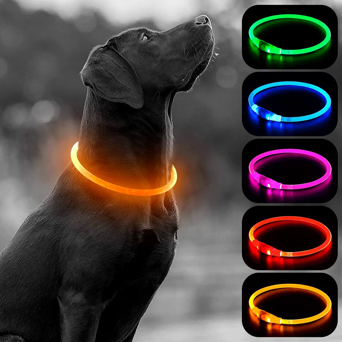 Light Up Dog Collars, USB Rechargeable LED Dog Collar, TPU Cuttable Dog Glow Collar, High Visibility Puppy Collar Safety Dog Lights for Night Walking(Green)