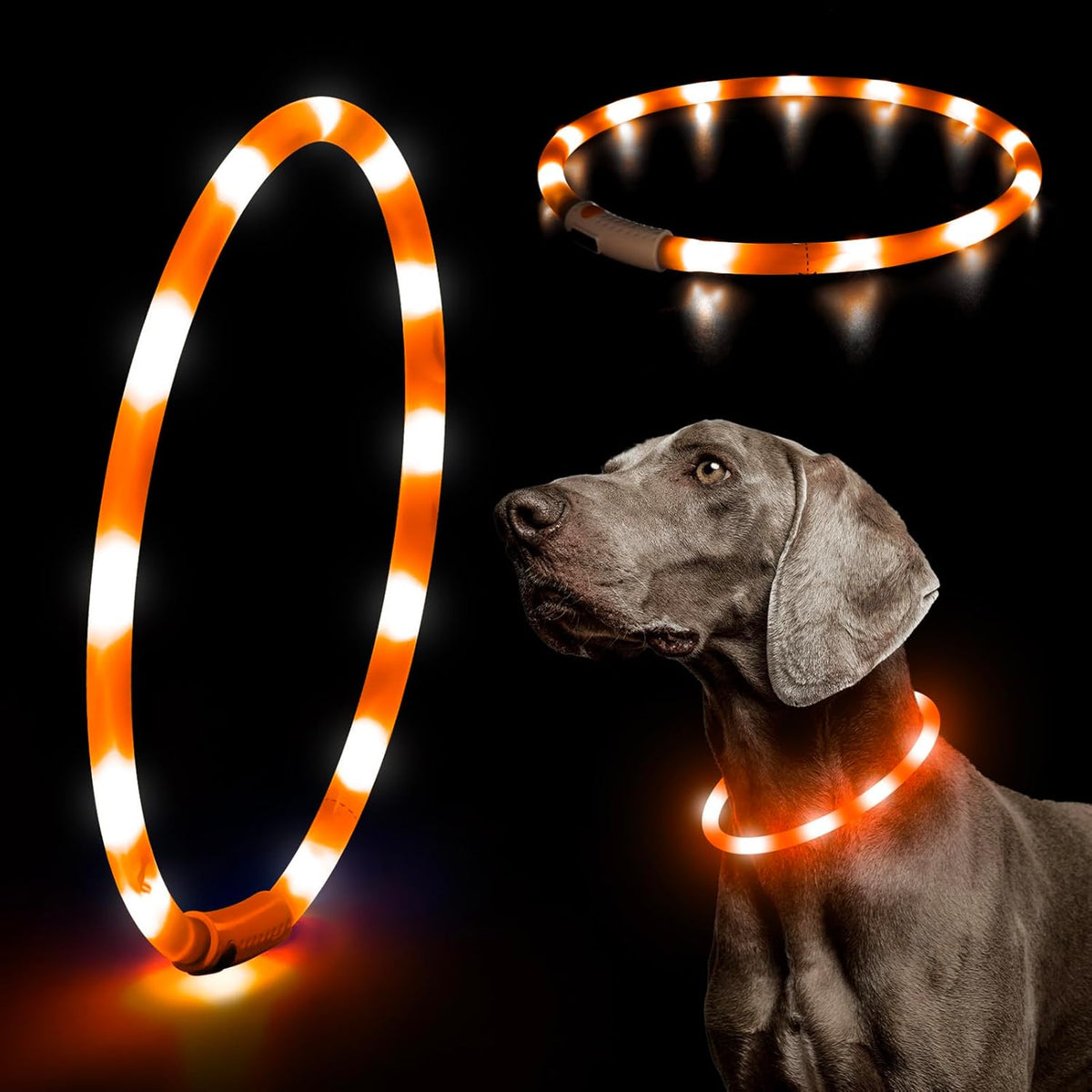 Light Up Dog Collars, USB Rechargeable LED Dog Collar, TPU Cuttable Dog Glow Collar, High Visibility Puppy Collar Safety Dog Lights for Night Walking(Green)