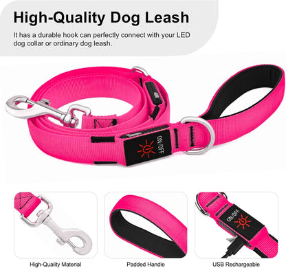 LED Light up Dog Leash, USB Rechargeable (6Ft,Pink) | Glow in Dark, Reflective, USB-C Rechargeable, Bright LED for Night Safety, Fits Medium to Large Dogs